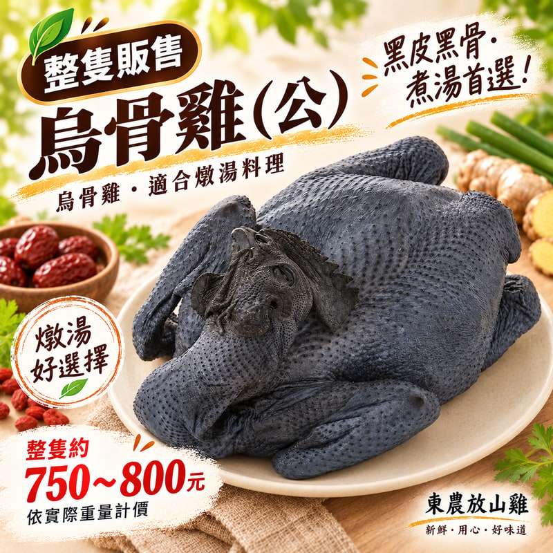烏骨雞(公)